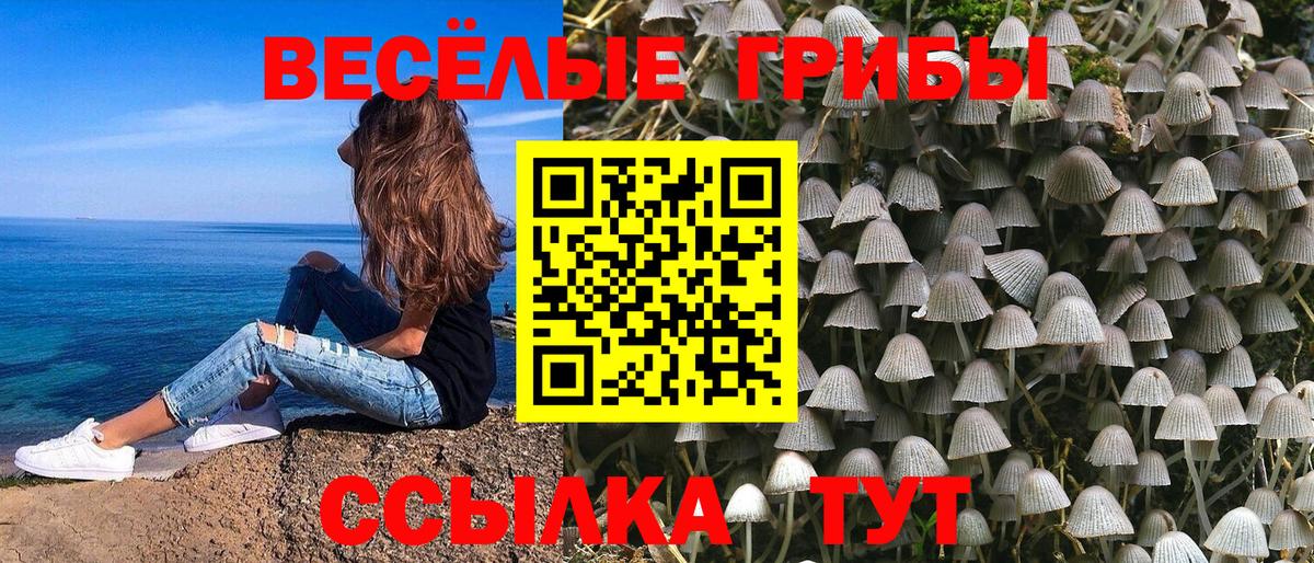 Псилоцибиновые грибы Psilocybe  Вход с VPN  Новочеркасск  Псилоцибиновые грибы Psilocybe 