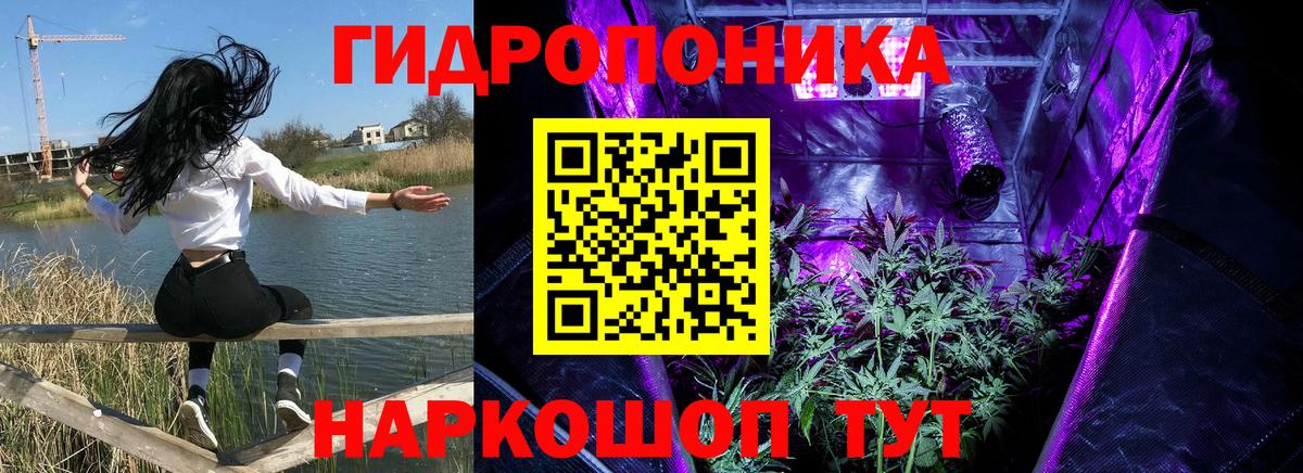 Бошки Шишки THC 21% Новочеркасск